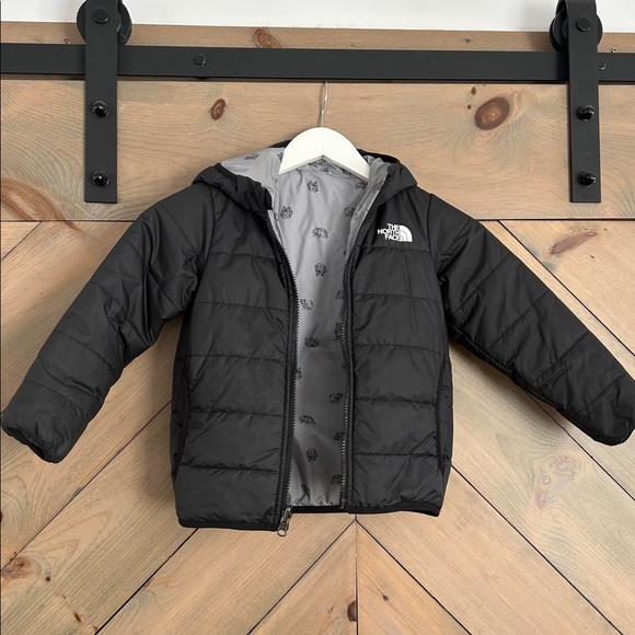 The North Face Other - The North Face Toddler Puffer Jacket
